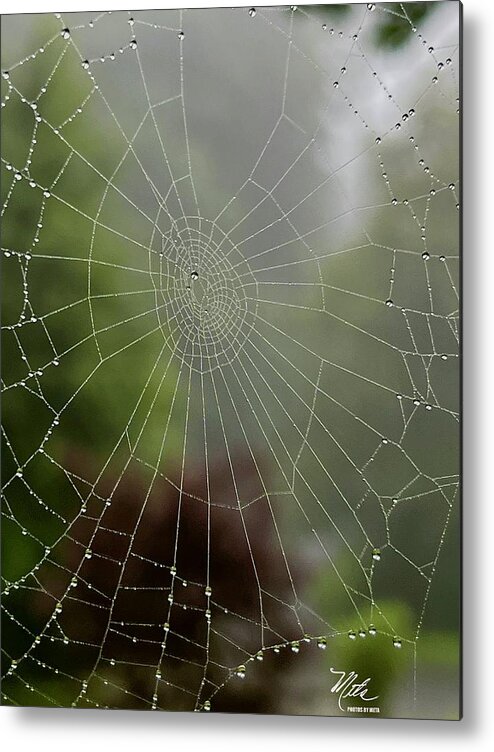  Metal Print featuring the photograph Spider web with dew by Meta Gatschenberger