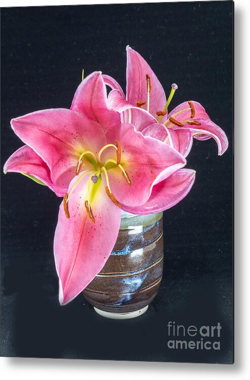 Pink Metal Print featuring the photograph Stargazer Lily by L Bosco