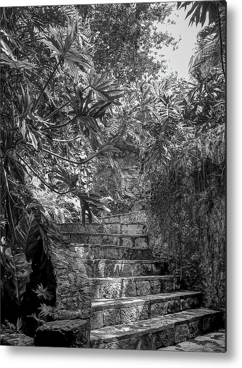Chichen Itza Metal Print featuring the photograph Steps Near Cenote Chichen Itza by Frank Mari