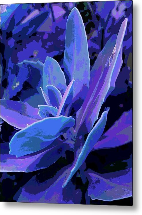 Succulent Metal Print featuring the photograph Succulent in Lavender by Loraine Yaffe