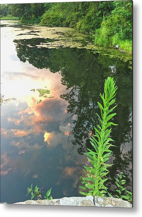 Sunset Metal Print featuring the photograph Sunset on the Green by Lisa Pearlman