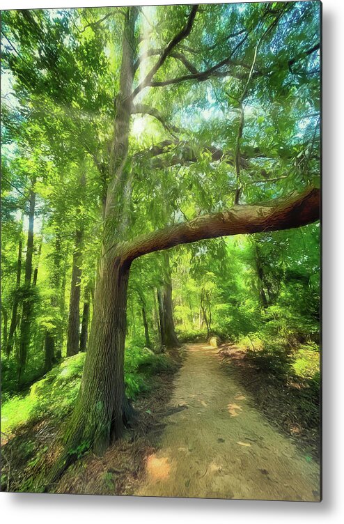 Narrow Path Metal Print featuring the photograph Take the Narrow Path by Michael Frank