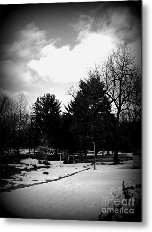 Landscape Metal Print featuring the photograph The Journey of Life - Holga Black and White by Frank J Casella