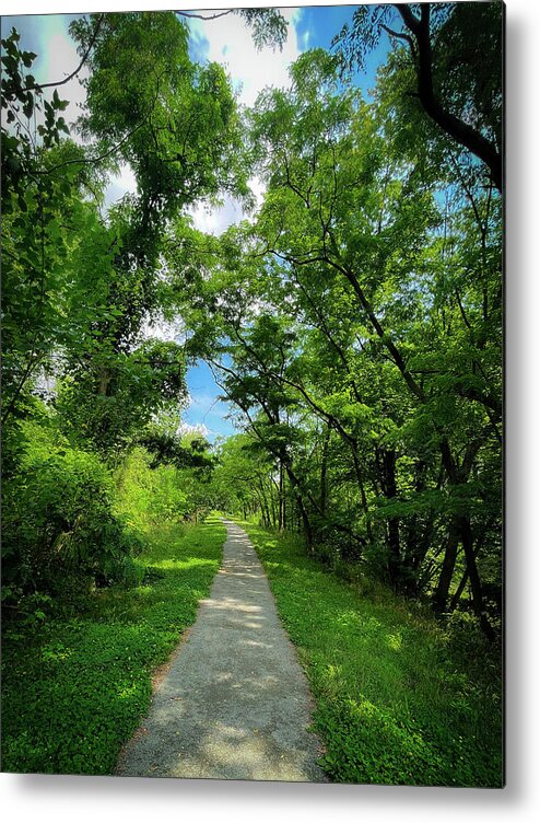 Landscapes Metal Print featuring the photograph The Usual Trail by Lora J Wilson