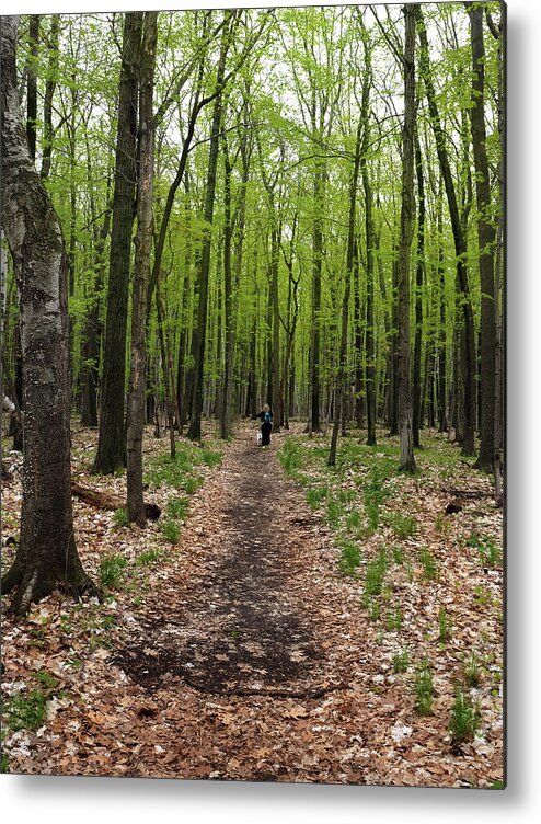 Hiking Metal Print featuring the photograph Trail in the Forest by James C Richardson