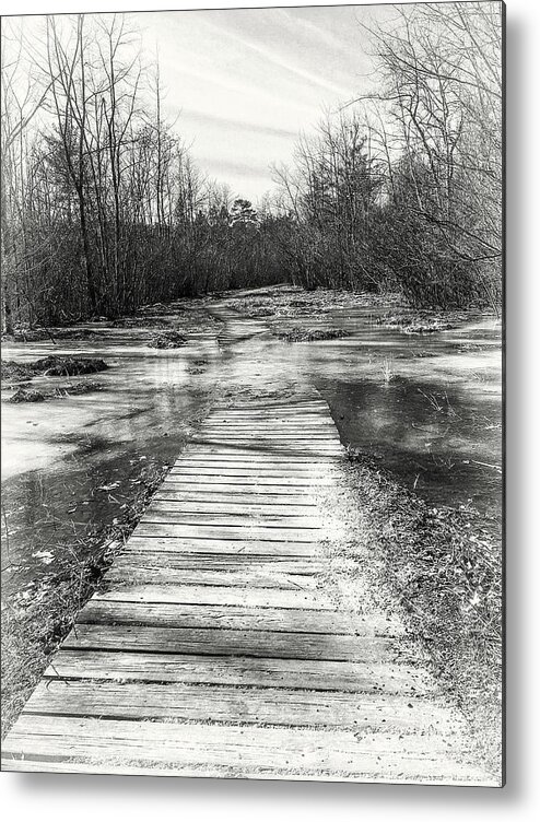 Trail Metal Print featuring the photograph Treacherous Path by Steven Nelson