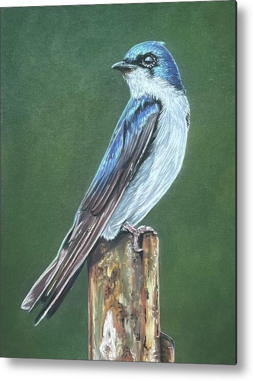 Bird Metal Print featuring the painting Tree Swallow by Mark Ray