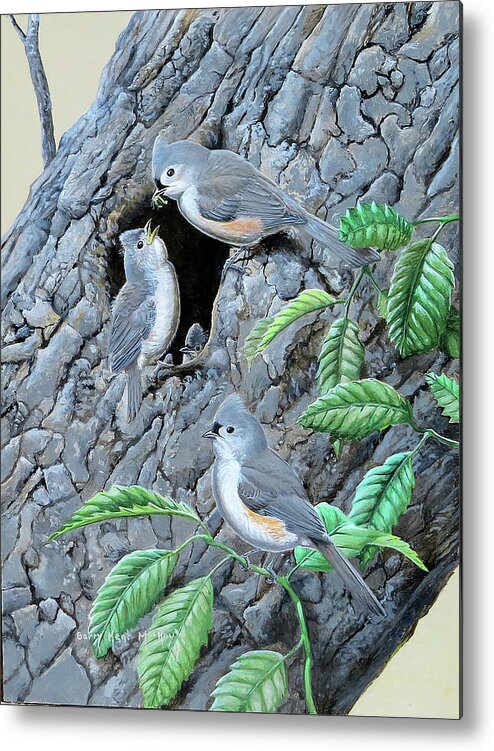 Tufted Titmouse Metal Print featuring the painting Tufted Titmouse family by Barry Kent MacKay