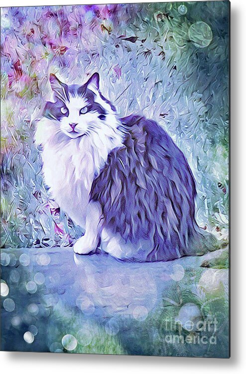 Cat; Kitten; Tuxedo; Long Hair; Impressionist; Painting; Metal Print featuring the digital art Tuxedo Cat by Tina Uihlein