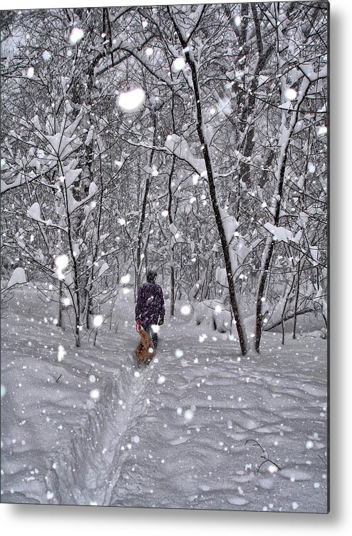 Dog Metal Print featuring the photograph Winter Snow In Woods by Russel Considine