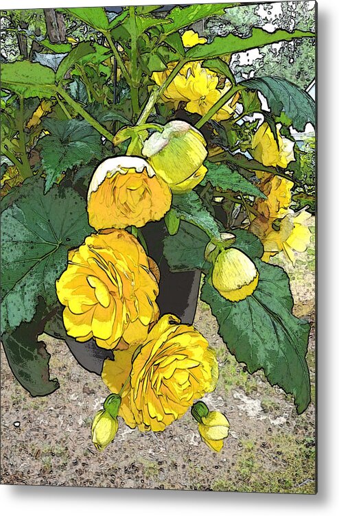 Yellow Metal Print featuring the photograph Yellow FLowers of Summer 2020 by Ann Tracy