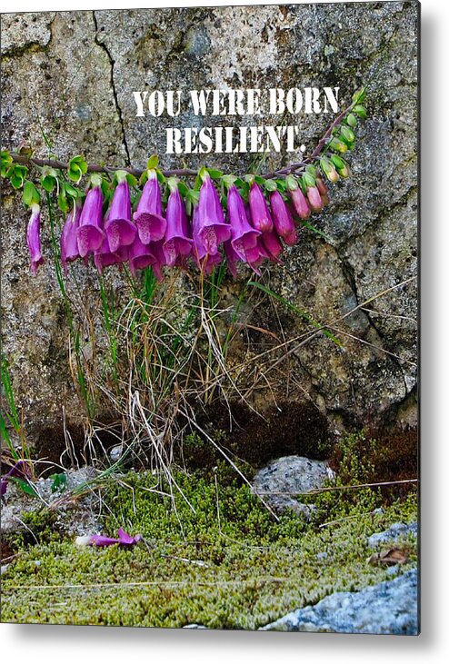 Flowers Metal Print featuring the mixed media You Were Born Resilient by Judy Cuddehe