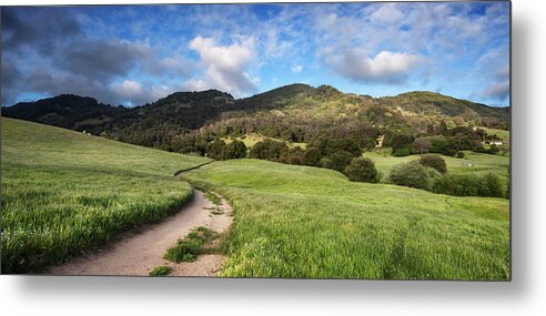 Santa Ysabel Grass and Clouds by William Dunigan