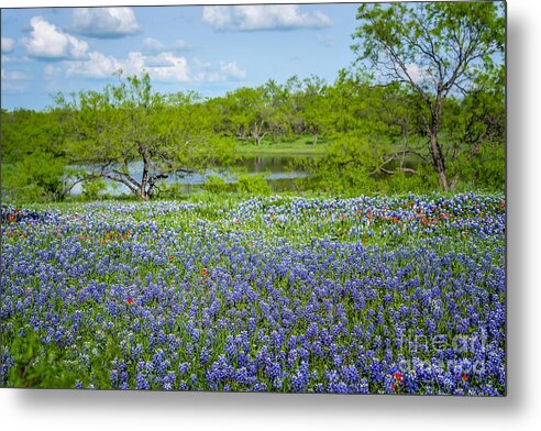 Texas Metal Print featuring the photograph Bluebonnet Pond by Tamyra Ayles