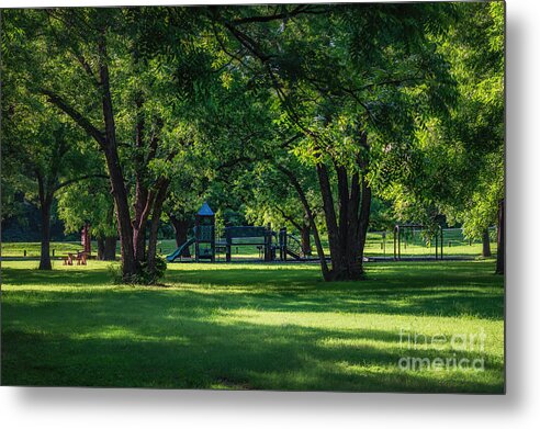 lake Murray Metal Print featuring the photograph Pecan Grove in Summer by Tamyra Ayles