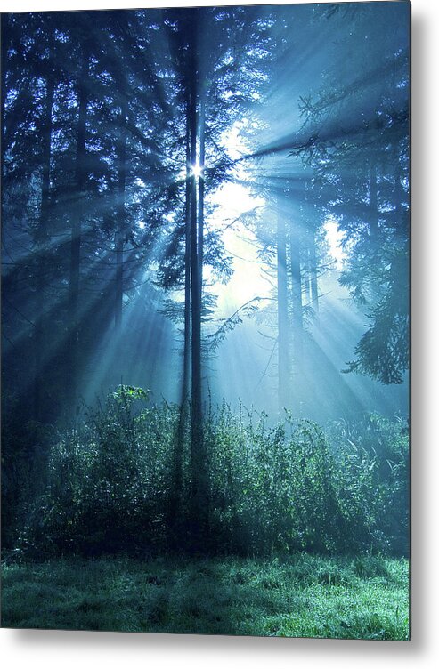 Nature Metal Print featuring the photograph Magical Light #1 by Daniel Csoka