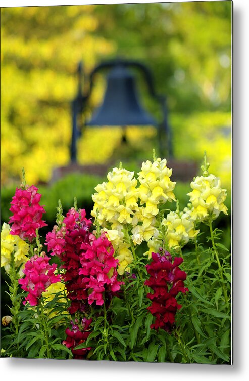 Cumc Metal Print featuring the photograph The Bell by Charles Hite