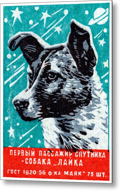 Vintage Metal Print featuring the painting 1957 Laika the Space Dog by Historic Image