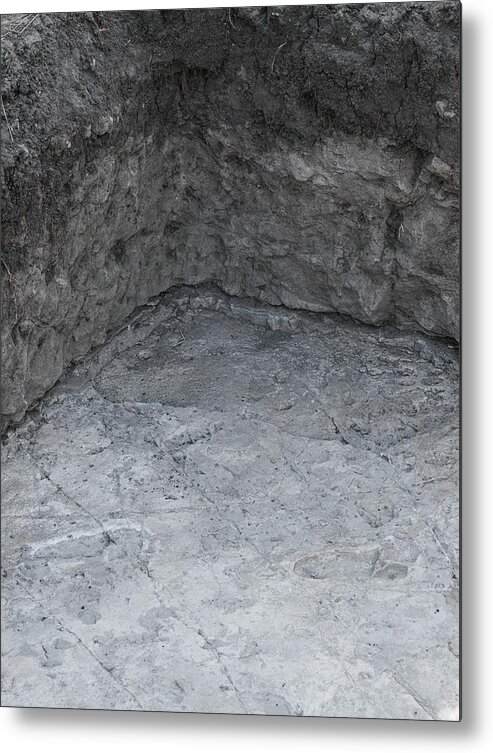 3.7 Million Years Old Metal Print featuring the photograph Hominid Footprints #4 by Javier Trueba/msf/science Photo Library