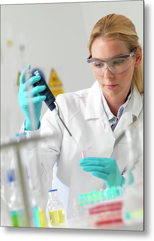 Science Metal Print featuring the photograph Researcher Pipetting Liquid #4 by Tek Image/science Photo Library