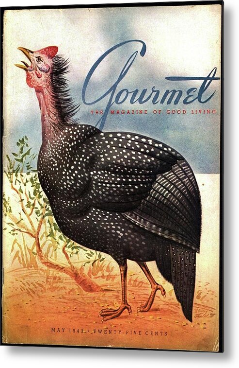 Illustration Metal Print featuring the photograph A Bellowing Turkey by Henry Stahlhut