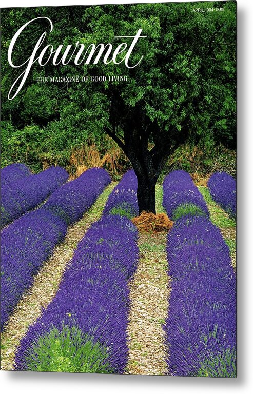 Garden Metal Print featuring the photograph A Gourmet Cover Of A Lavender Field by Julian Nieman
