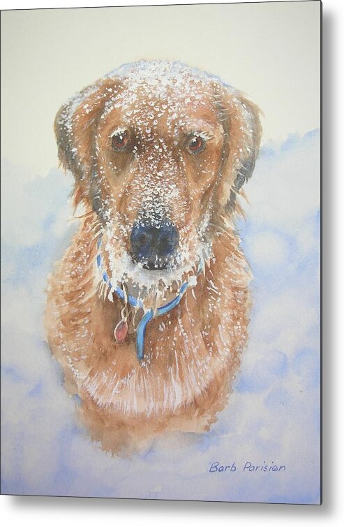 Dog Metal Print featuring the painting Abby by Barbara Parisien