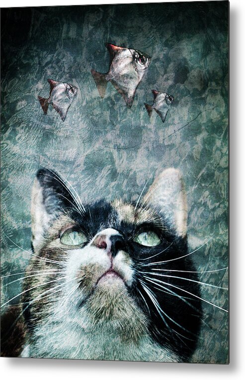 Cat Metal Print featuring the photograph Abyss cat nr 2 by Laura Melis