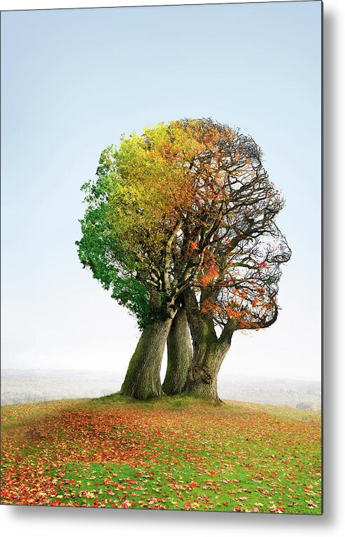 Tree Metal Print featuring the photograph Ageing by Smetek