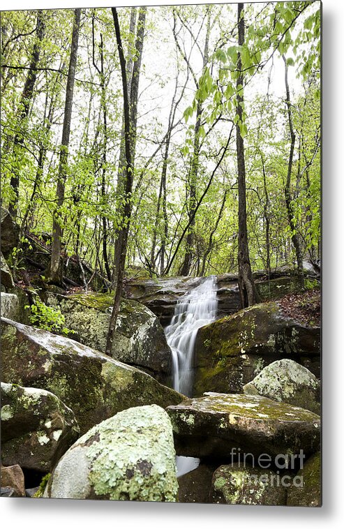 Waterfall Metal Print featuring the photograph Arkansas Waterfall Flowing in the Woods by Brandon Alms