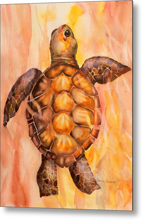 Baby Turtle Caribbean Sea Metal Print featuring the painting Baby in the Sunset by Pamela Shearer