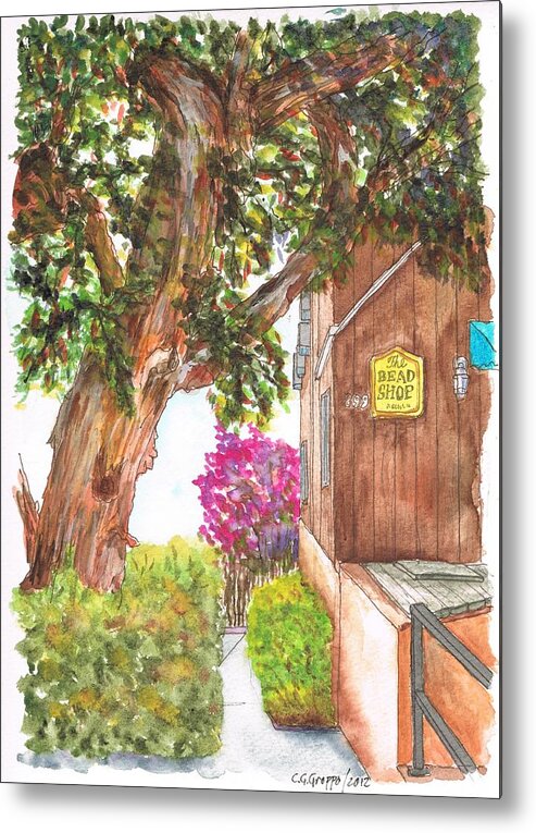 Tree Metal Print featuring the painting Big tree at the Bead Shop, Laguna Beach, California by Carlos G Groppa