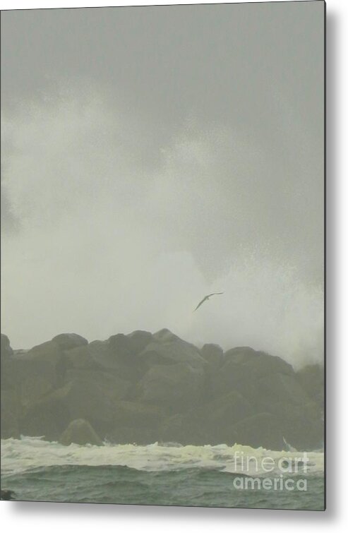 Seagull Metal Print featuring the photograph Bird Splash by Gallery Of Hope 