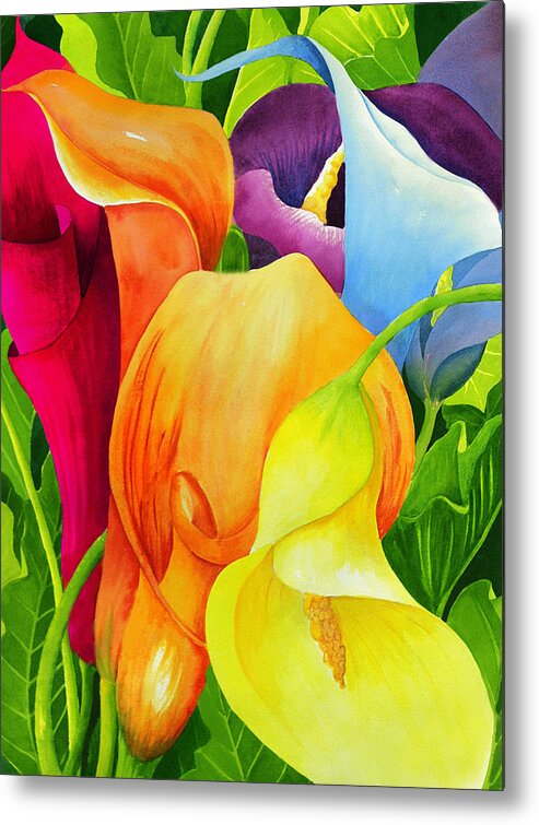 Flower Paintings Metal Print featuring the painting Calla Lily Rainbow by Janis Grau