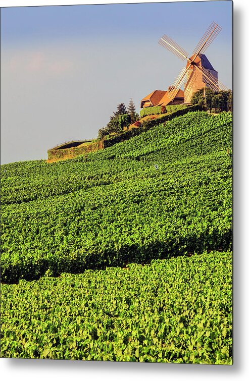 Viewpoint Metal Print featuring the photograph Champagne by Kodachrome25