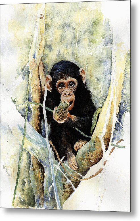 Chimpanzee Metal Print featuring the painting Cheeky by Roger Bonnick