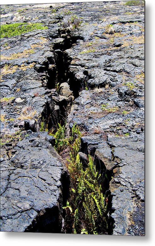 Basalt Metal Print featuring the photograph Crack in the Lava by Christi Kraft