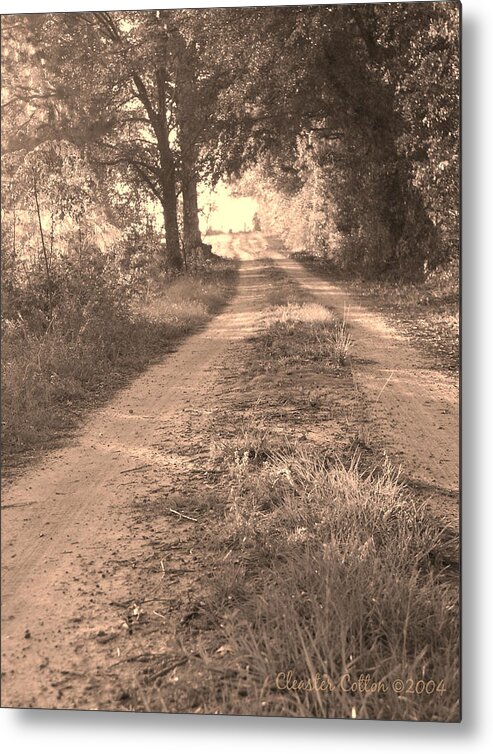 Dirt Road Metal Print featuring the photograph Dirt Road Moultrie Georgia by Cleaster Cotton