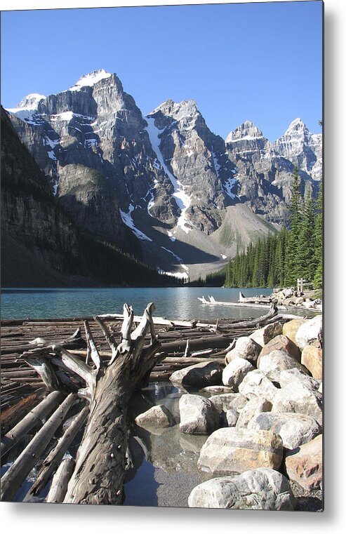 Driftwood Metal Print featuring the photograph Driftwood - color by Marcia Socolik