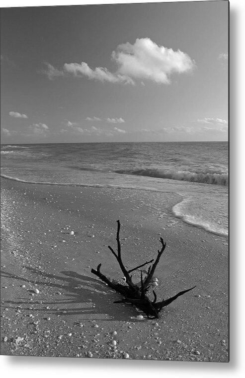 Driftwood Metal Print featuring the photograph Driftwood by Juergen Roth