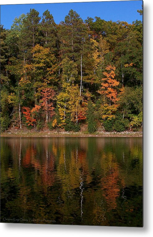 Fall Metal Print featuring the photograph Fall Reflection by Forest Floor Photography