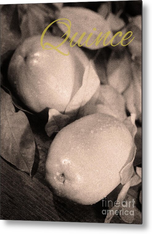Food Metal Print featuring the photograph Fresh Quince Distressed Sepia Text by Iris Richardson