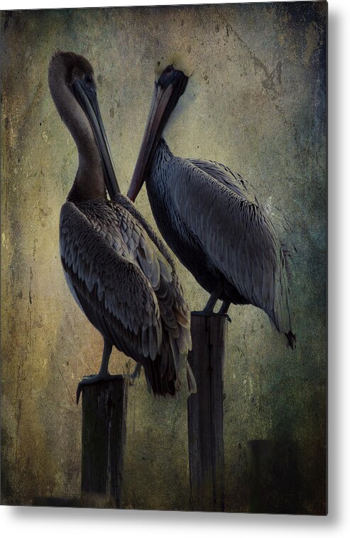 Pelicans Metal Print featuring the photograph Friends by Don Schiffner