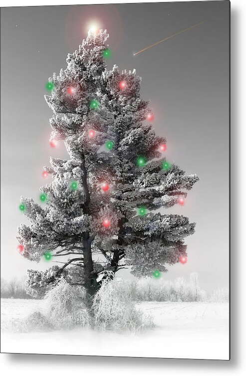 Christmas Tree.pine Metal Print featuring the photograph Great White Christmas Pine by John Bartosik