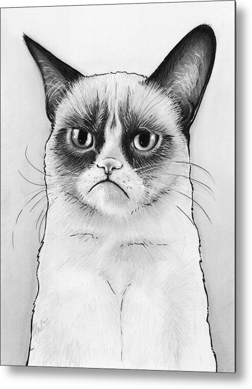 Grumpy Cat Metal Print featuring the drawing Grumpy Cat Portrait by Olga Shvartsur