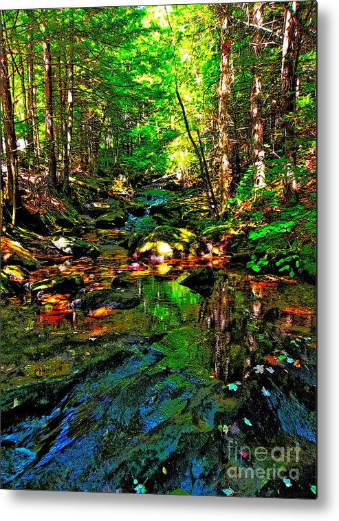 Landscape Metal Print featuring the photograph Hcbyb 111 by George Ramos