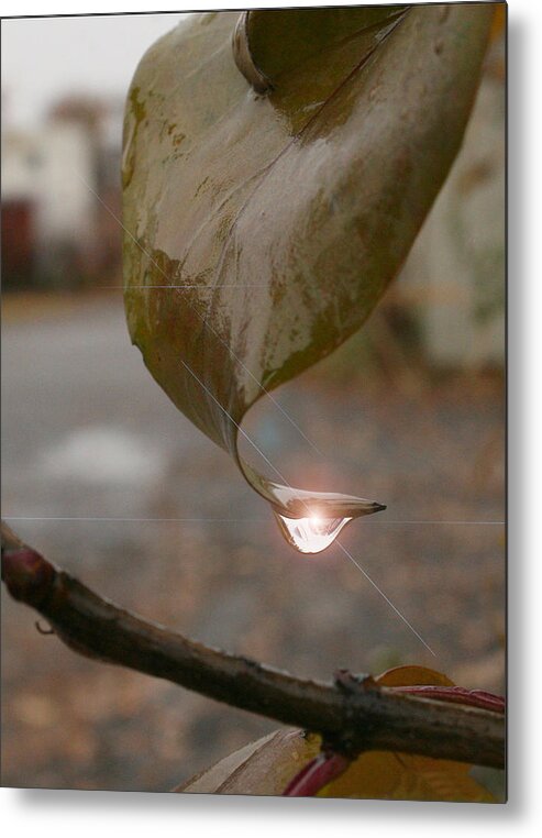 Drop Metal Print featuring the photograph Heaven's Drop by Daniel Martin