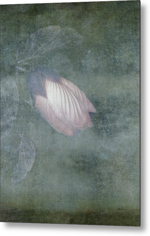 Hibiscus Metal Print featuring the photograph Hibiscus Bud by Ann Powell