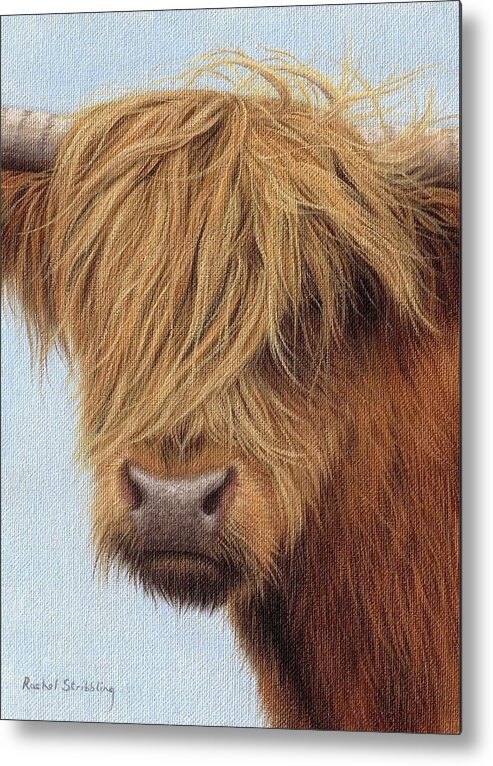 Highland Cow Metal Print featuring the painting Highland Cow Painting by Rachel Stribbling