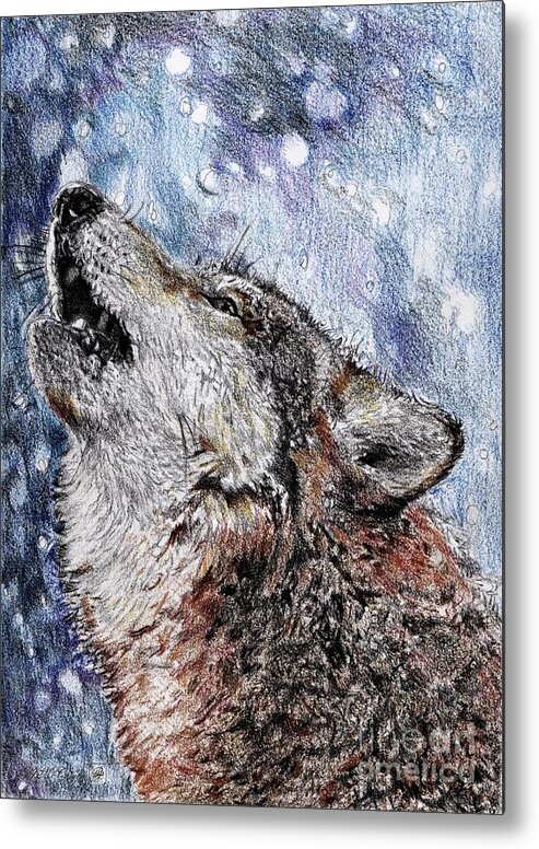 Mccombie Metal Print featuring the drawing Howling Gray Wolf #1 by J McCombie